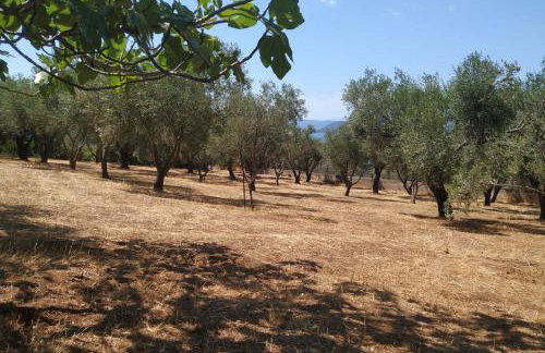 Secluded house with great view and private beach - Foto 57