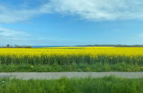 Mein-Ostseeplätzchen Haus am Meer 9 - Foto 15