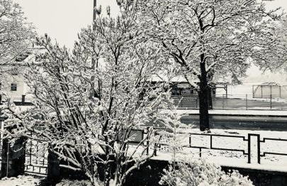 Ferienwohnung Bleicherode - Foto 8