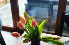 Domki Na Brzyzku - Foto 11