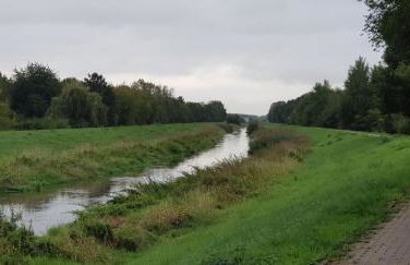 Zur Eiche - Ferienwohnung - Foto 15