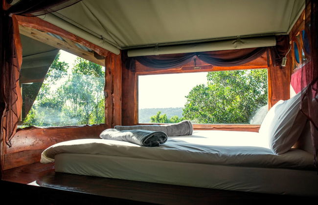 Moon Shine on Whiskey Creek - Foto 5