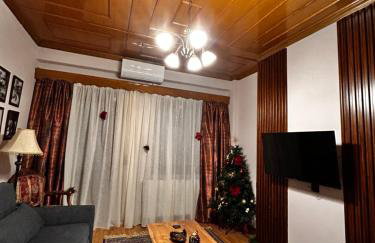 MetsoVillas στο κέντρο του Μετσόβου - Photo 5