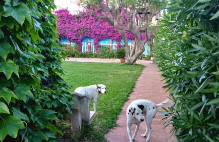Casa con jardín frente Playa de Burriana - Foto 7