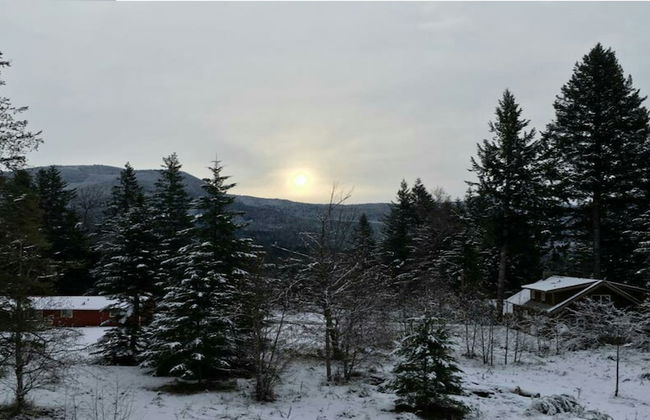 Packwood Ski & Vacation Getaway - Foto 45