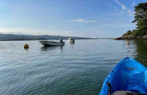 Bryn Goleu, Mersey Street, Borth-y-Gest - Photo 37