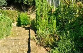 La Cerasa - il Lago fuori - Foto 60