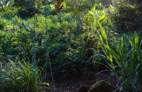 Casinha Fulô do Bongue - 6 km from Serra dos Alves - Photo 20