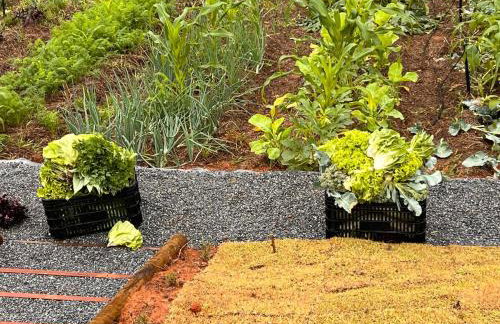 Casinha em Membeca - Foto 13