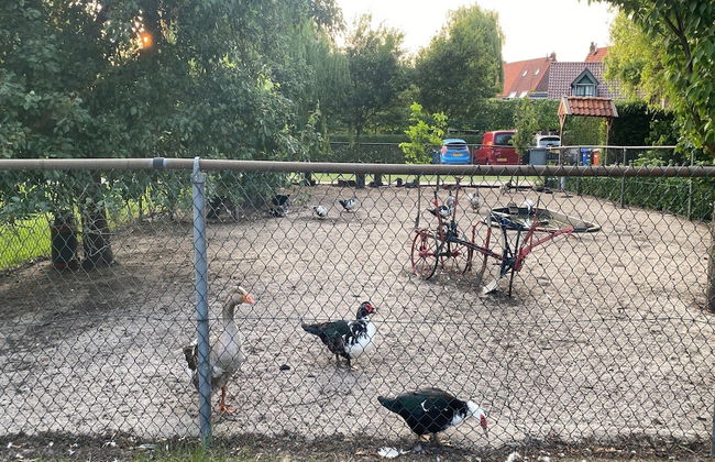 Cozy Holiday Home in Bergen op Zoom With Garden - Foto 43