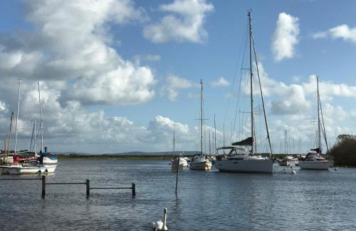 Kittiwake - Foto 33