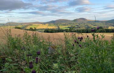 Highland Holiday Home - Foto 31