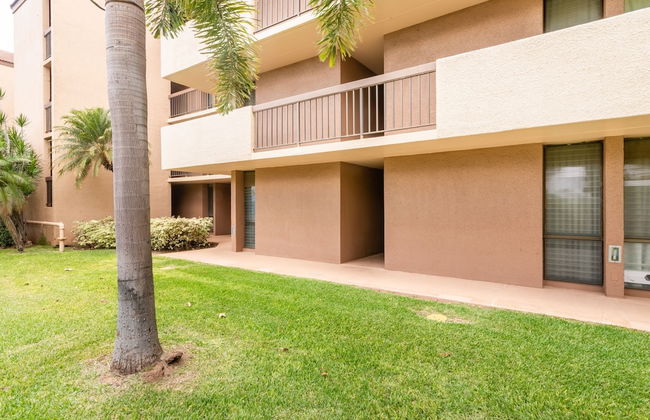 Awesome Maui Vista Beach Suite - Photo 28