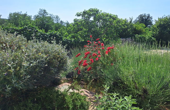 Villa Malini - Foto 34