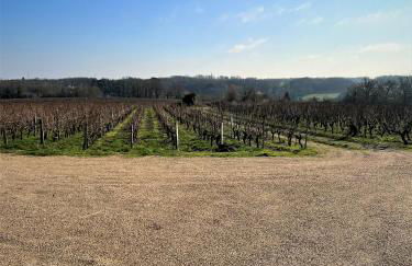 Studio Vigneron, 3min du Zoo - Photo 14