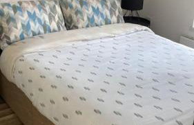 Centrally located 2 bedroom house with garden - Photo 8