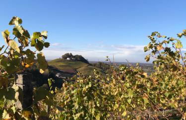 Ferienwohnung Hesselbach - Foto 33