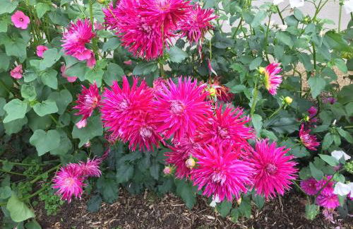 Gite 1er Cru - La Loubertine - Foto 42