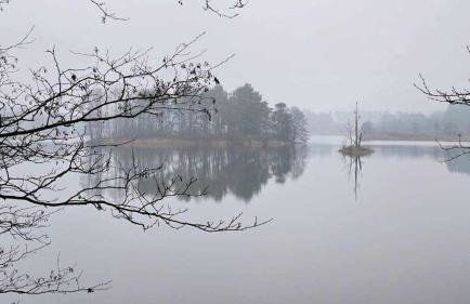 Dom za wydmą - Foto 67