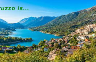 Characteristic restored farmhouse with 360 degree views - Photo 64