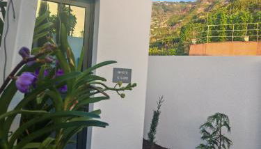 White Studio - Foto 2