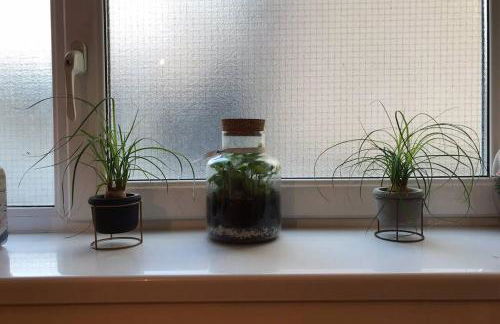 Tranquil Welsh Mountain Gem, Abertillery, Wales - Foto 26