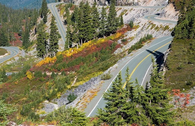 05MBH - Economical - WiFi - Pets Ok - F/P - D/W - Sleeps 2 - Foto 15