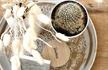 L’Escale - Le Boho + garage + NETFLIX - Foto 2