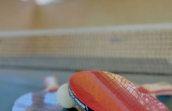 Holiday Home Mary with Pool - Photo 52