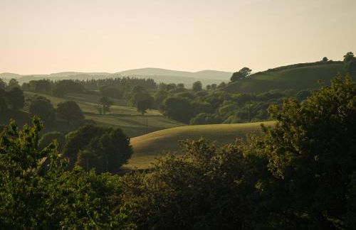 Upper Gelli Luxury Holiday Lodge, Converted Dairy & Cosy Shepherds Huts - Photo 47