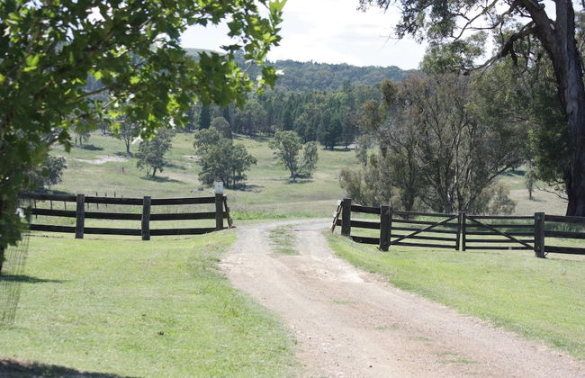 Old Bara Guesthouse - Photo 20