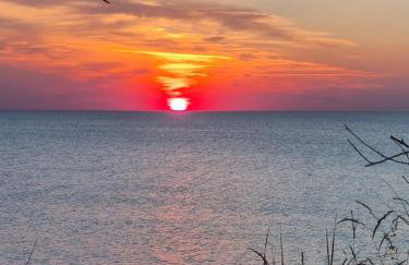 Kwiatowe Domki - Foto 20