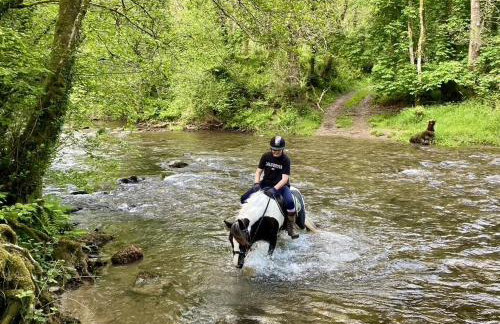 The Piggery Dulverton - Foto 41