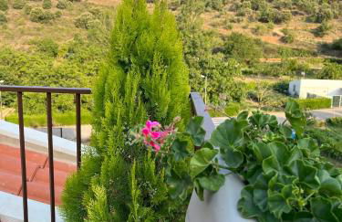 Apartamentos La Flor - Photo 13