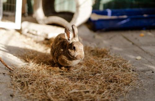 Achter de Höf Whg 2 - Foto 29