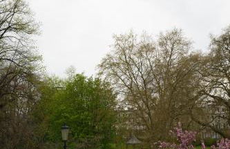 Holland Park Residence - Foto 46