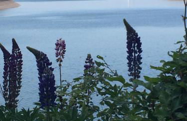 Ferienhaus Hankel - Foto 28