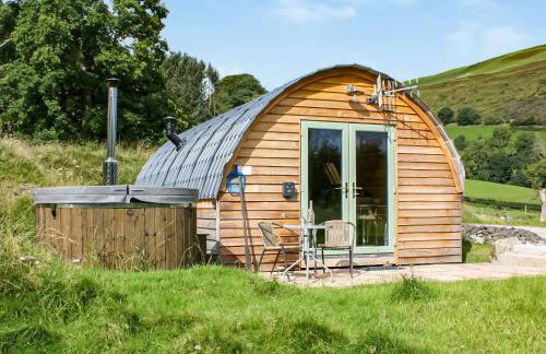 Barcud Coch - Uk44539 - Foto 17