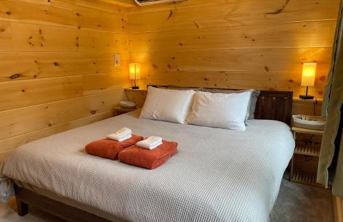 Creekside Getaway - King Bed - Full Kitchen - Foto 2