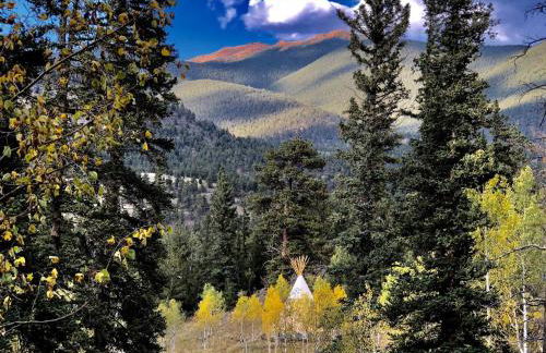 Enjoy a "Weekend in the Wild" in a Conestoga Wagon - Foto 18