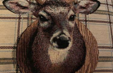 Wilmar Lodge - Foto 6