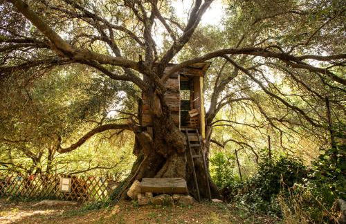 costa di sognu - Foto 73