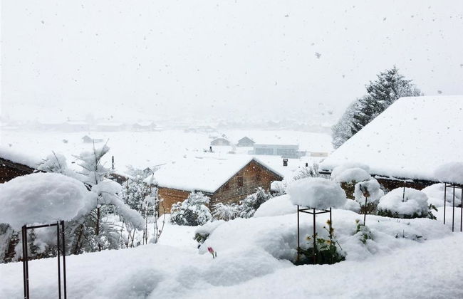 1 bedroom Apartment in Zweisimmen - Photo 10