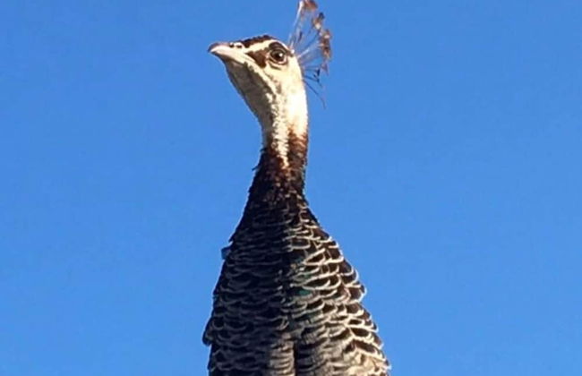 2bed Cabin w/ Parking Near Snowdonia National Park - Photo 13