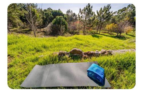 Casa na Floresta - Foto 7