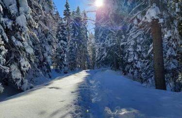 Apartament Koninki - Foto 9