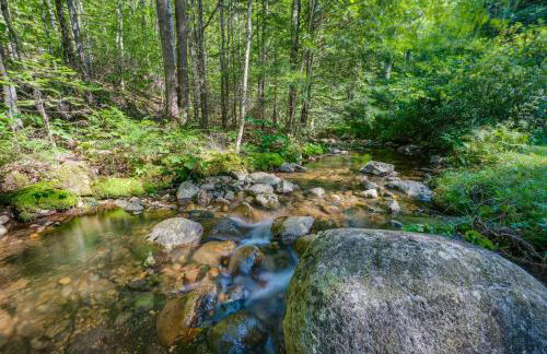 Charming Thornton Escape with Sauna and Gazebo! - Foto 41