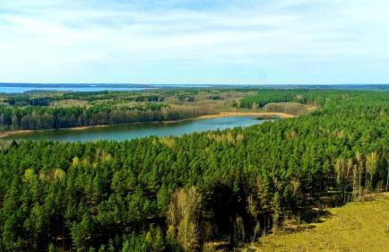 Mazury - Giżycko - Harsz - Domki - ApartMazury Osada - Foto 65