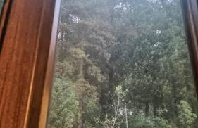 Il Casale Società Agricola Semplice di Barattini Pascucci Doriana e C - Foto 53