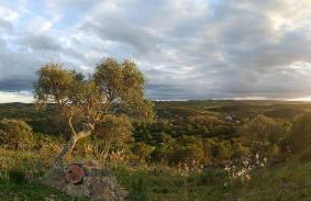 Monte Costa Raiz - Foto 16